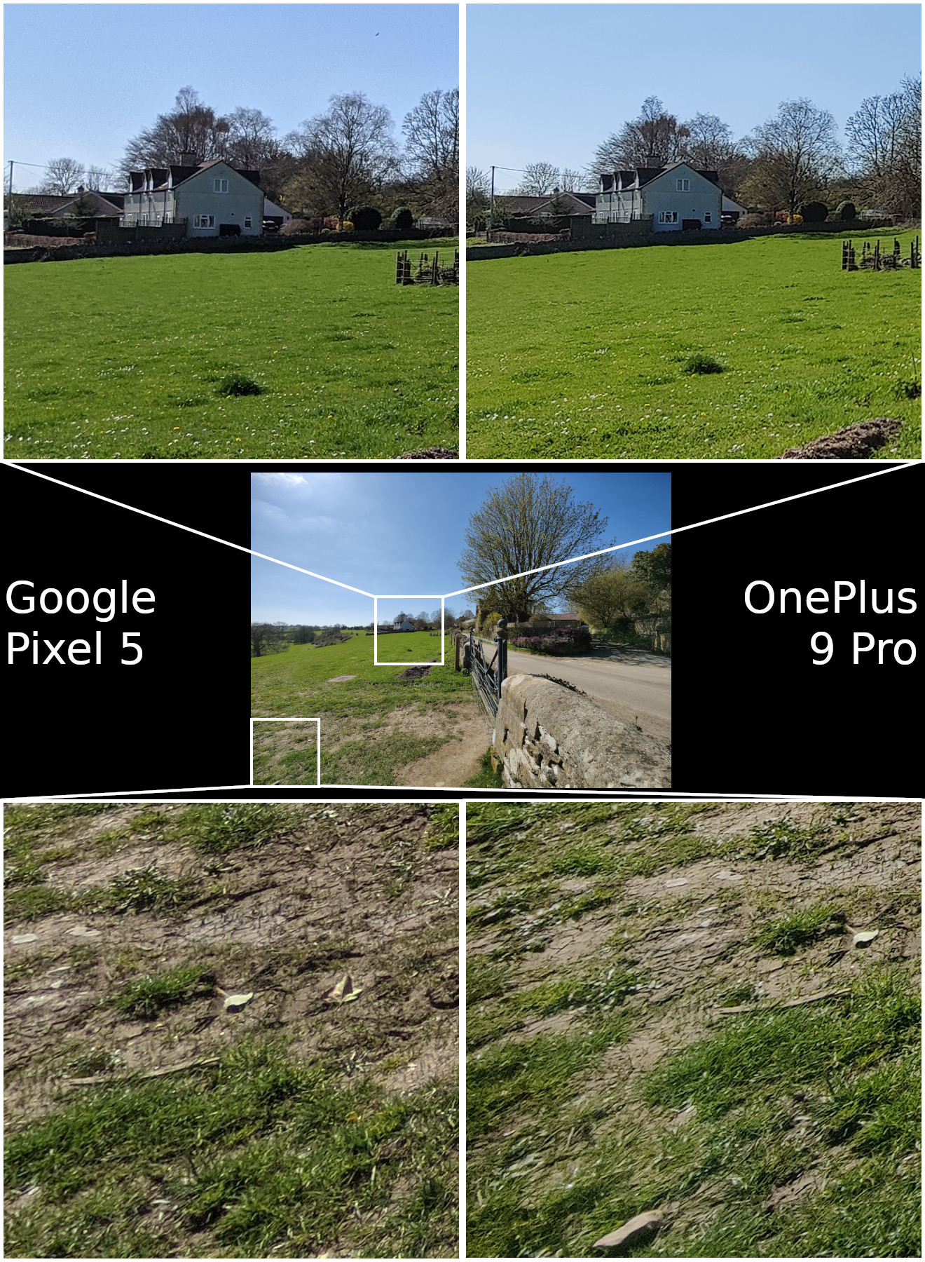 Google Pixel 5 VS OnePlus 9 Pro宽