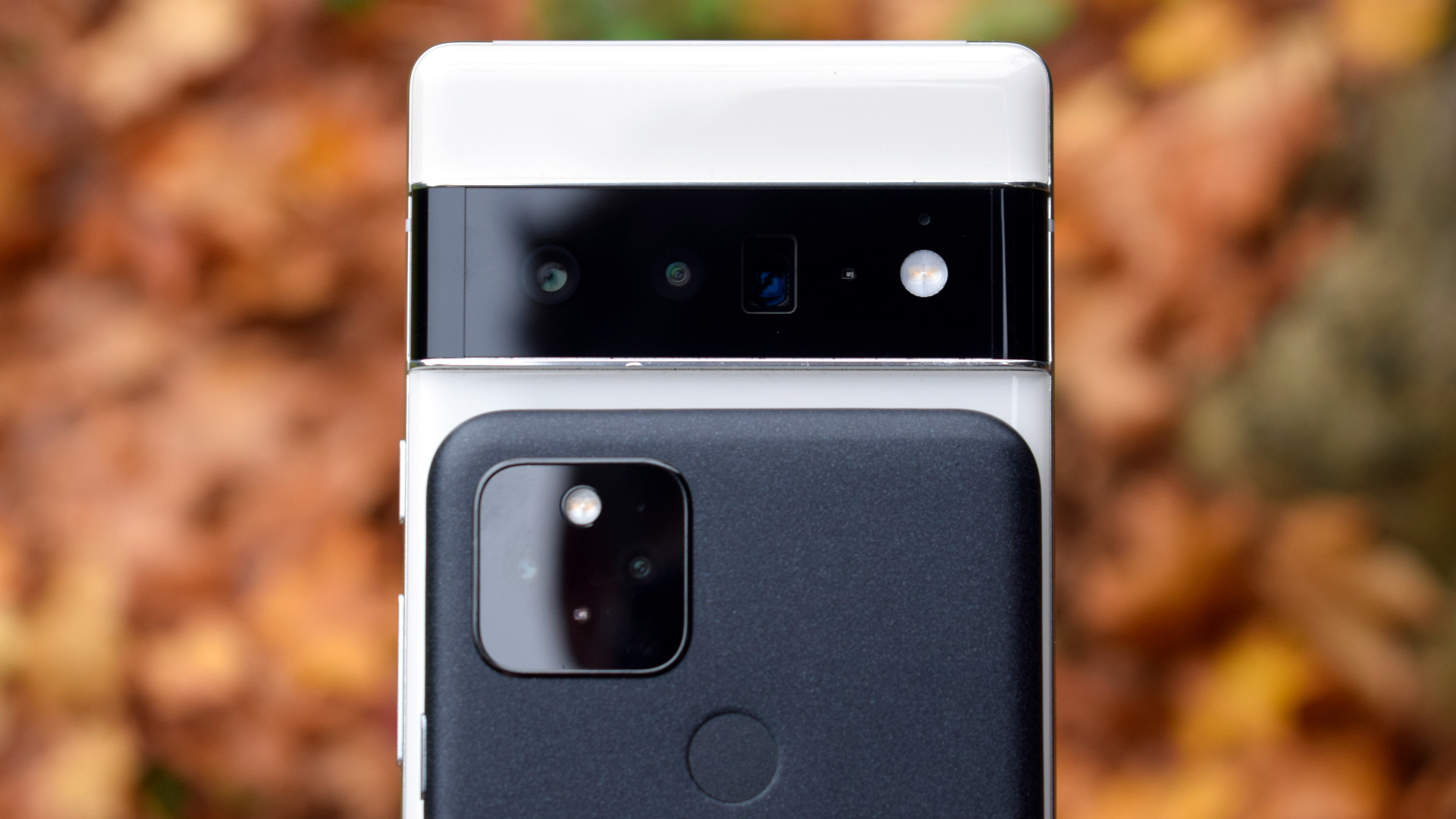 Google Pixel 6 Pro VS Google Pixel 5相机